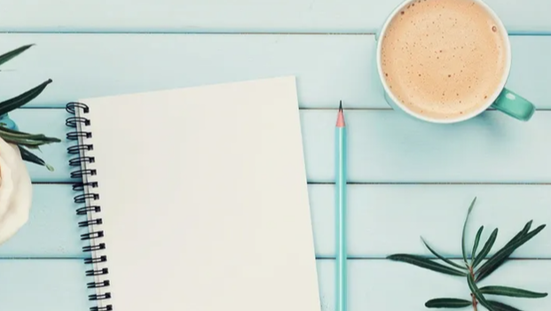 The Canadian Entrepreneur's Guidebook